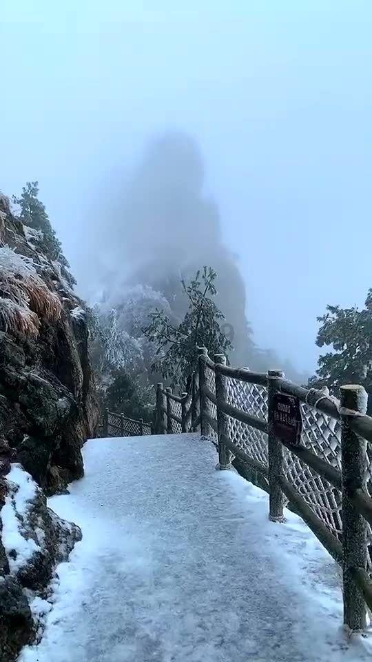 寻找萌小老虎